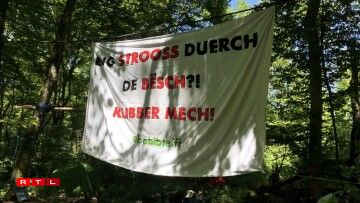 Ëmweltaktiviste protestéiere géint Ofholze vum Bësch.