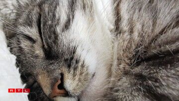 Autre exemple de ce qu'est capable de produire le mode macro.