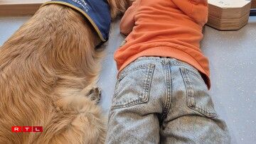 De Golden Retriever Replay mat engem Kand, wou hien reegelméisseg ënnerstëtzt.