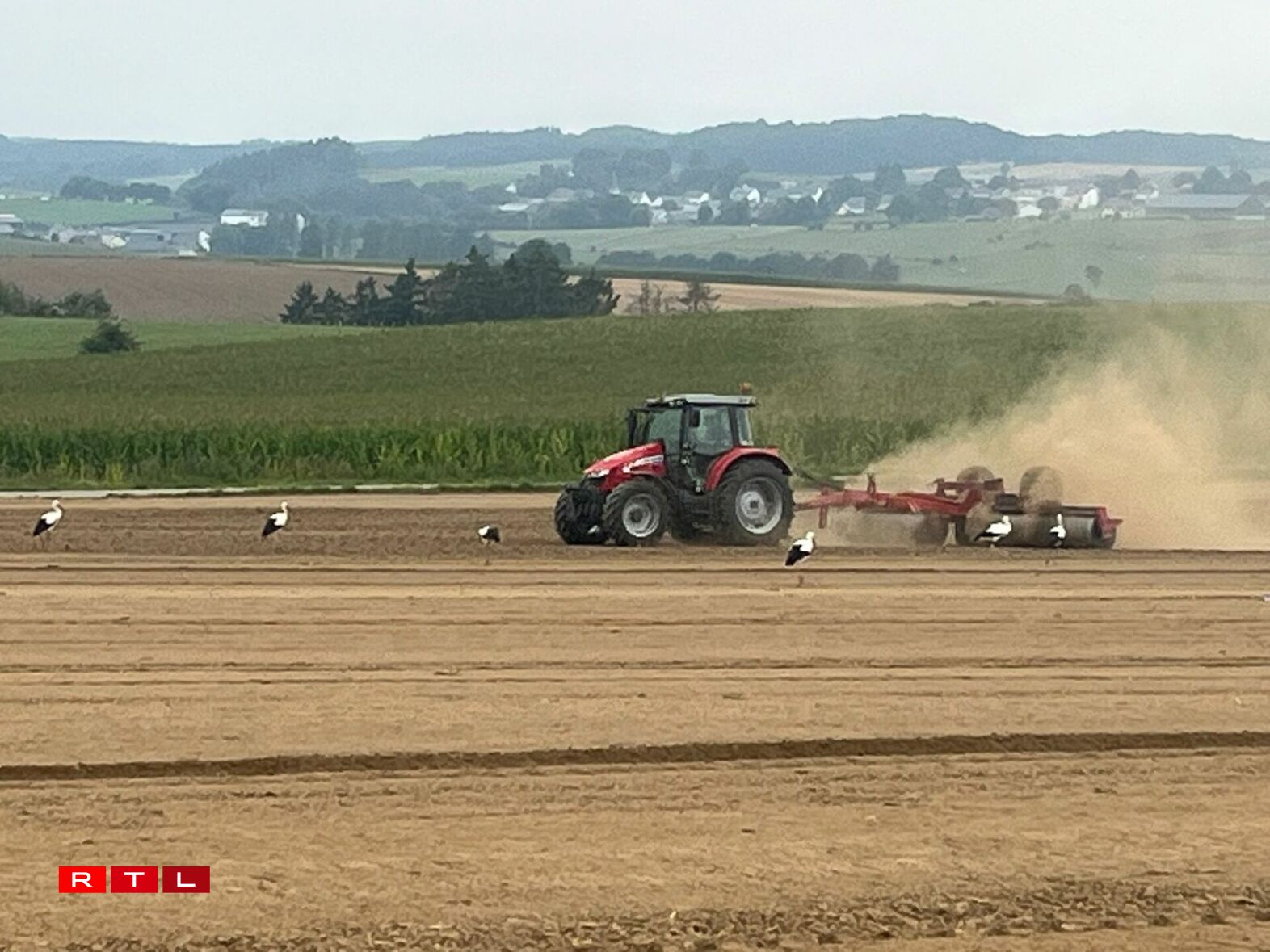 Och eng Woch méi spéit waren eng ganz Rei Storchen ze gesinn, sou wéi hei zu Wëntger, festgehale vum Bryan Weis