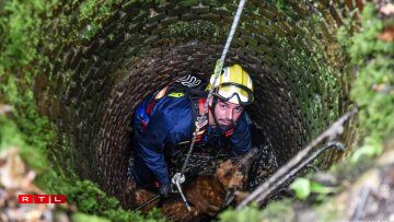 Le pauvre Jazz est tombé au fond d'un puits profond de trois mètres.
