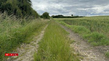 Op Felderweeër, déi virun allem vu Bauere genotzt ginn, gëtt d'Gréngs gären emol méi laang stoe gelooss.