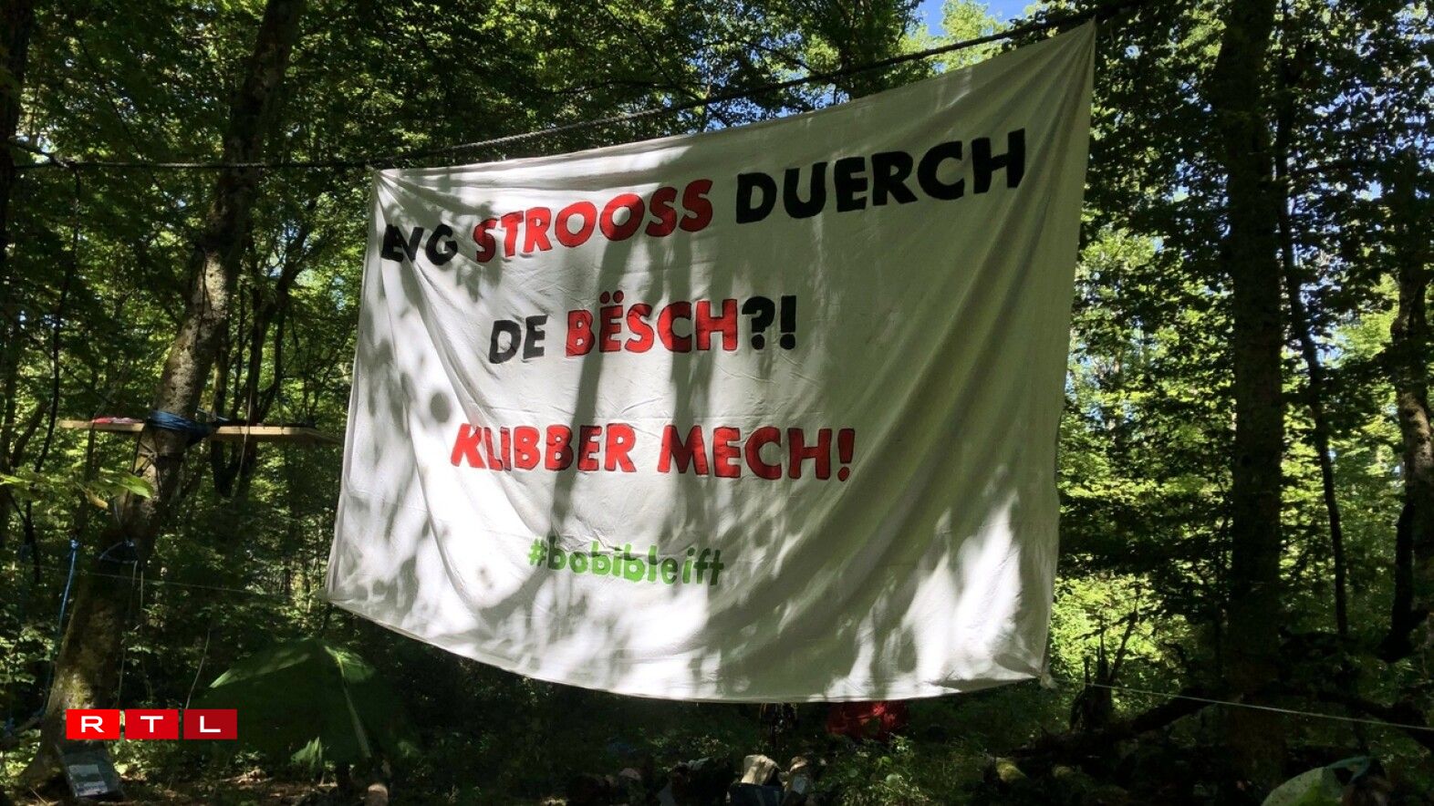 Ëmweltaktiviste protestéiere géint Ofholze vum Bësch.