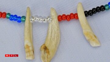 Un collier fait de dents...