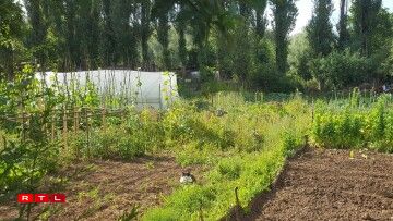 À première vue, ces jardins sont tout à fait banals... (Photos: Romain Van Dyck)