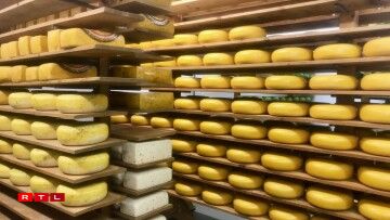 Le fromage reste en cave de maturation pendant plusieurs semaines, voire plusieurs mois.