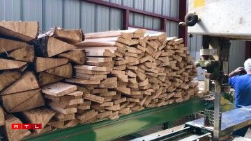 Les troncs sont coupés en merrains: des planche au coeur du bois. Il ne reste que 20%.