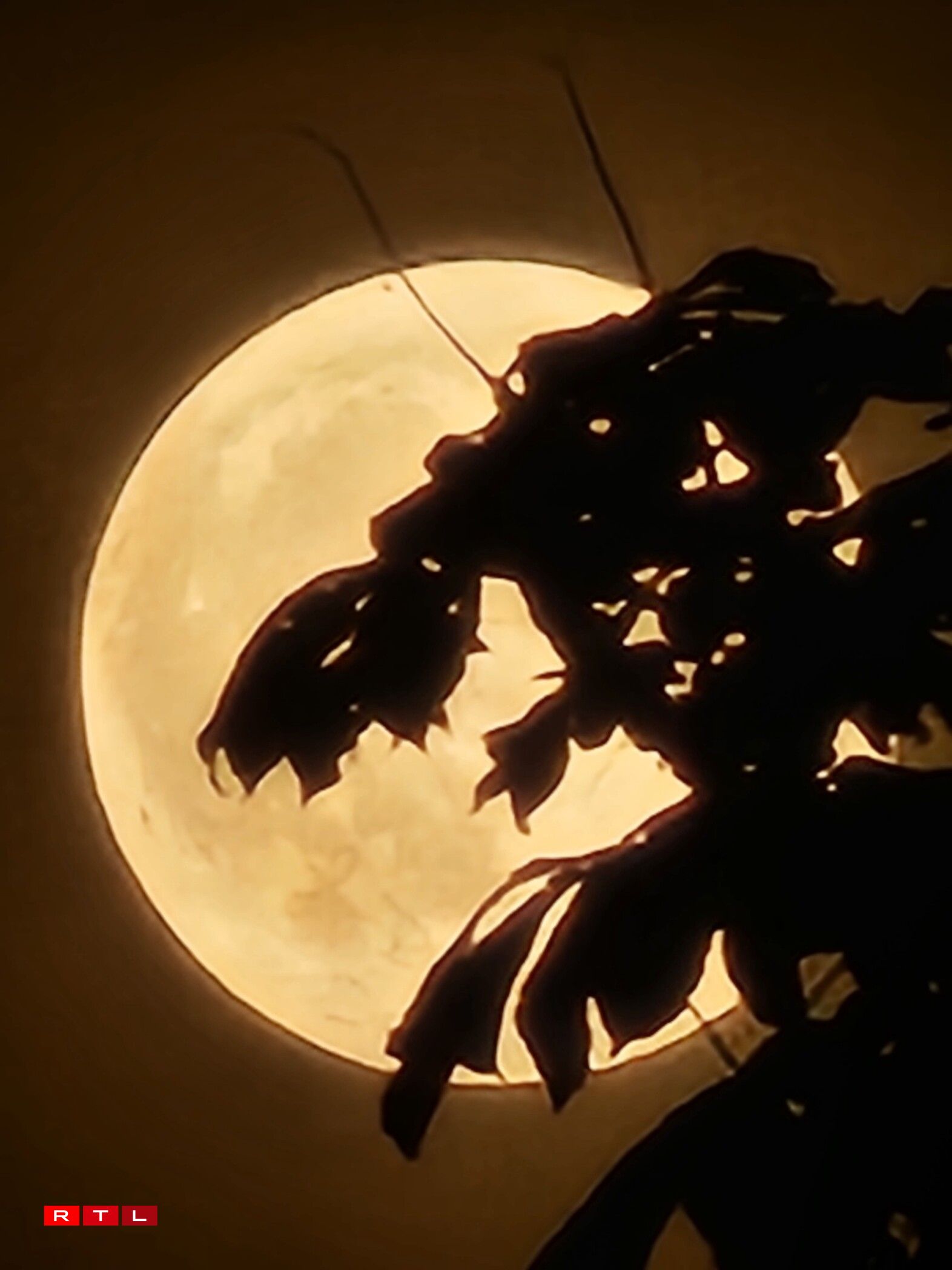 Vollmound zu Monnerech