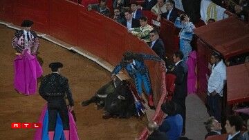 Beim Kampf e Sonndeg: Wann de Stéier bis um Enn ass, versetzt een Torero dem Déier mat engem Messer de leschten Doudesstéch.