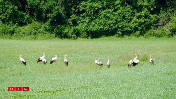 Photo du 30 mai 2025 à Oberdonven