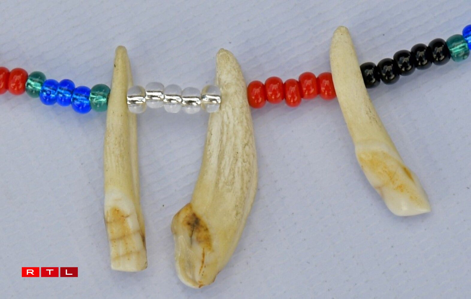 Un collier fait de dents...