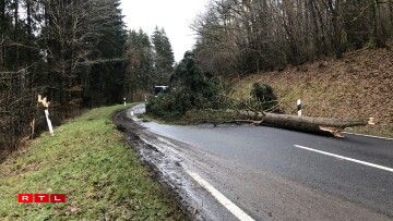 Um Hareler Poteau ass ee Bam ëmgefall.