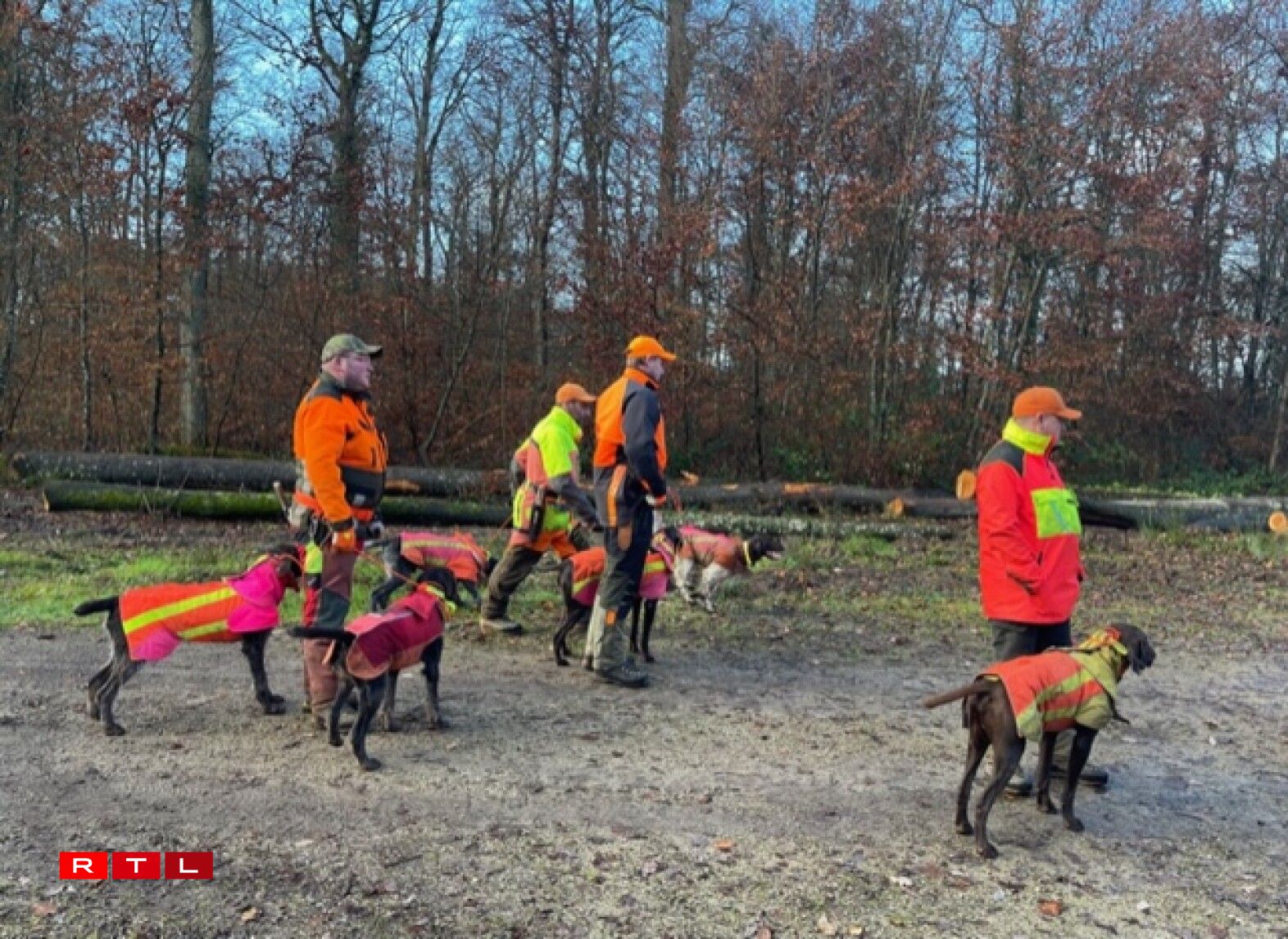 Dreiwer mat hiren Hënn