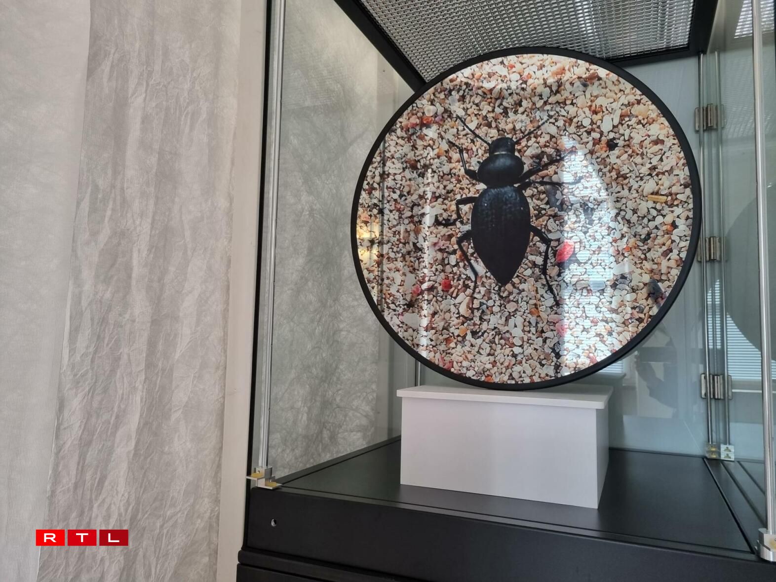 Expo Imaginer Servais