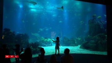 Oceanário de Lisboa