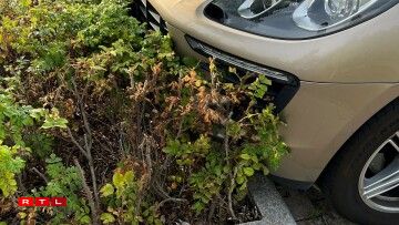 Une photo qui nous a été envoyée le 8 septembre 2022, nous n'avons pas d'information quant à l'endroit où elle a été prise