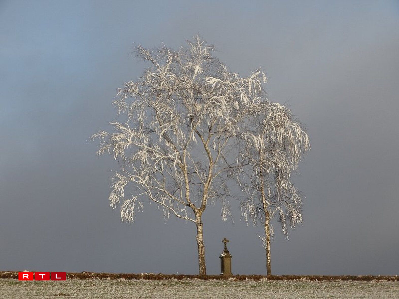 Photo prise près d'Eschdorf/Merscheid ce lundi 12 novembre.