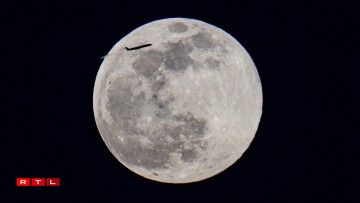 Avec un objectif adapté, la