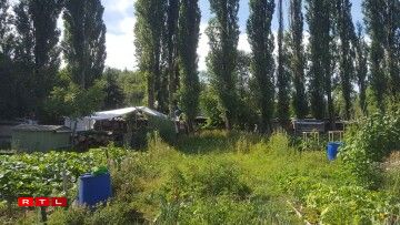 Ces jardins devraient être rasés d'ici la fin de l'année, et l'élevage y être interdit.