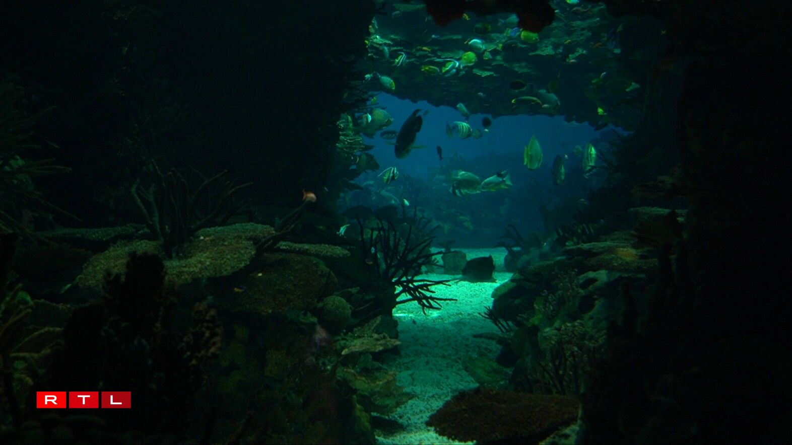 Oceanário de Lisboa