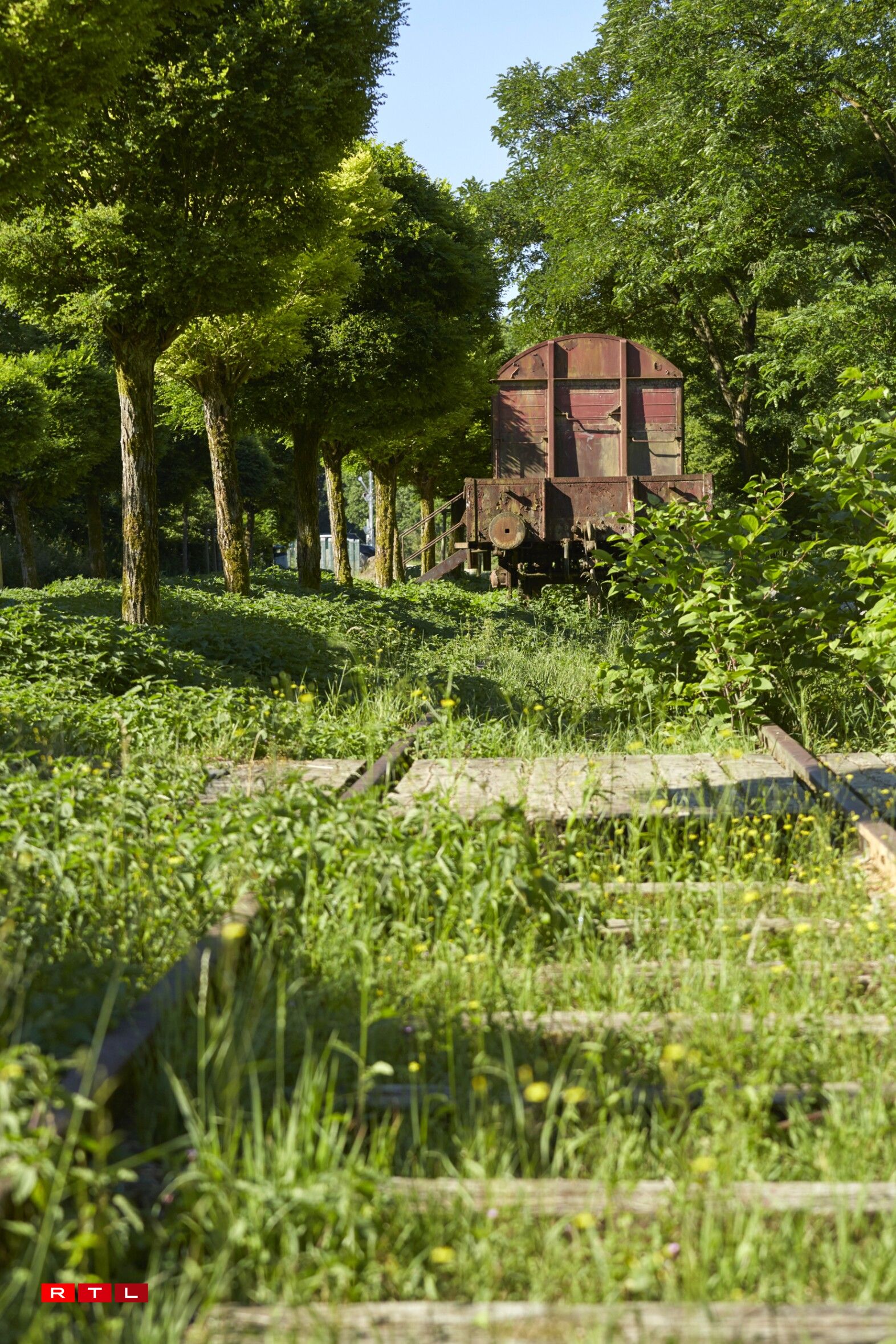 Centre nature et forêt Mirador