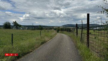 Vill Leit stéiere sech dorun, wann d'Gras an d'Hecke liicht an de Wee wuessen.