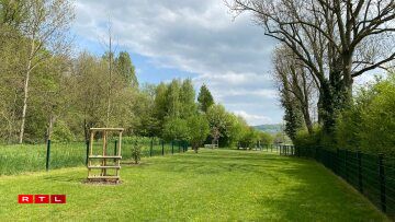 Hondswiss 2 zu Miersch