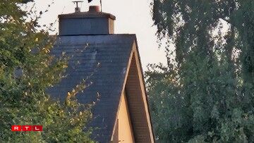 Cigognes à Grevels et Wal