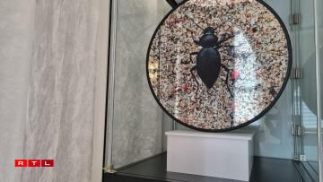 Expo Imaginer Servais