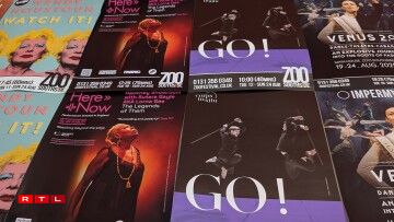 GO! vum Jennifer Gohier @ Zoo Southside