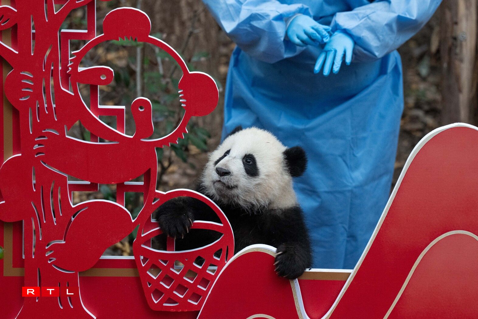 D'Pandaen am Fuerschungszenter den 4. Februar 2026.