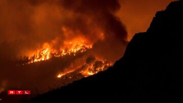 Un feu de forêt près du village de Sobradillo, sur l'île espagnole de Tenerife, le 16 août 2023