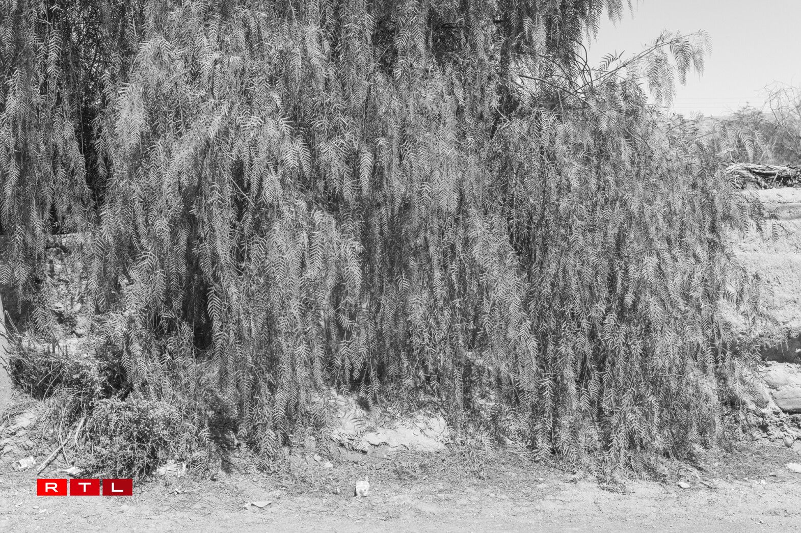 Sans Titre, série Providencia