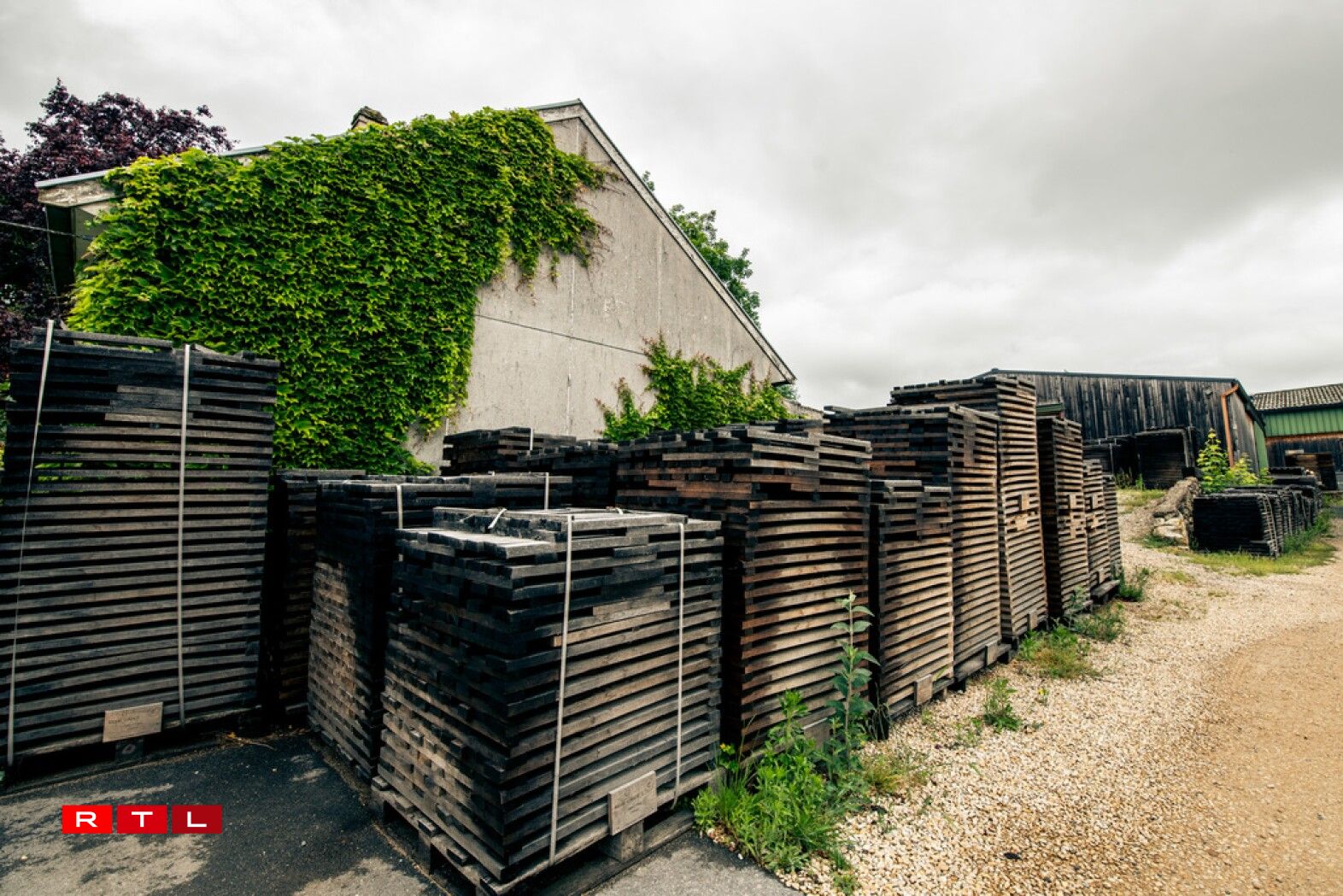 Le bois va sécher 36 mois à l’air libre pour évacuer les tanins les plus astringents et affiner le profil aromatique.