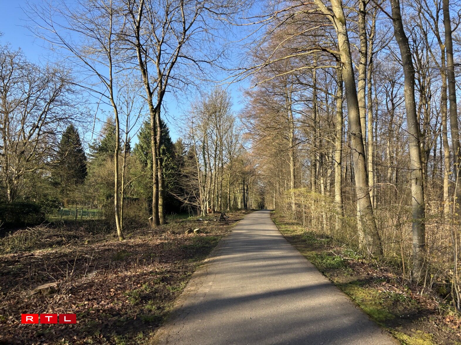 Lénks mat manner Beem, awer nach ëmmer mat Natur-Feeling: den Ufank vum Vëloswee um Sennergerbierg um fréien Donneschdegmoien (2. Abrëll).