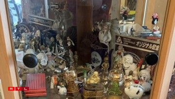 D'Maisy huet Fangerhitt op hire Reese gesammelt.