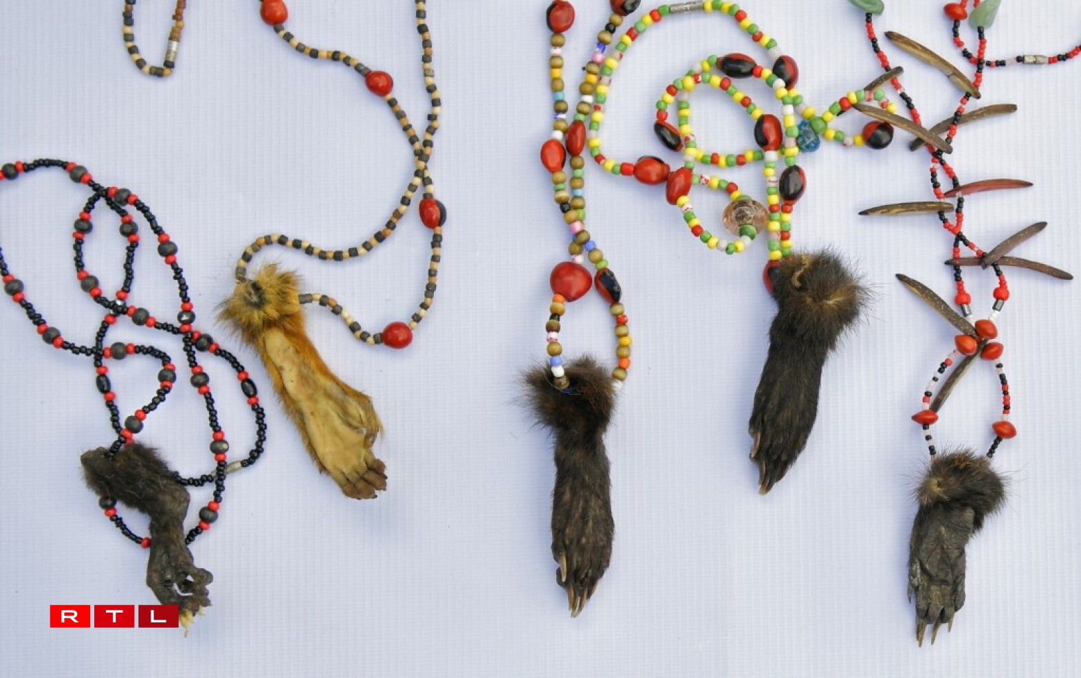 Des membres de primates...