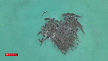 De Grupp virun der australescher Küst.