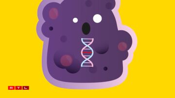 A healthy cell with intact DNA (1) can, after a DNA mutation, become a potentially dangerous mutant (2) or a cancer cell (3) both of which have defective DNA.