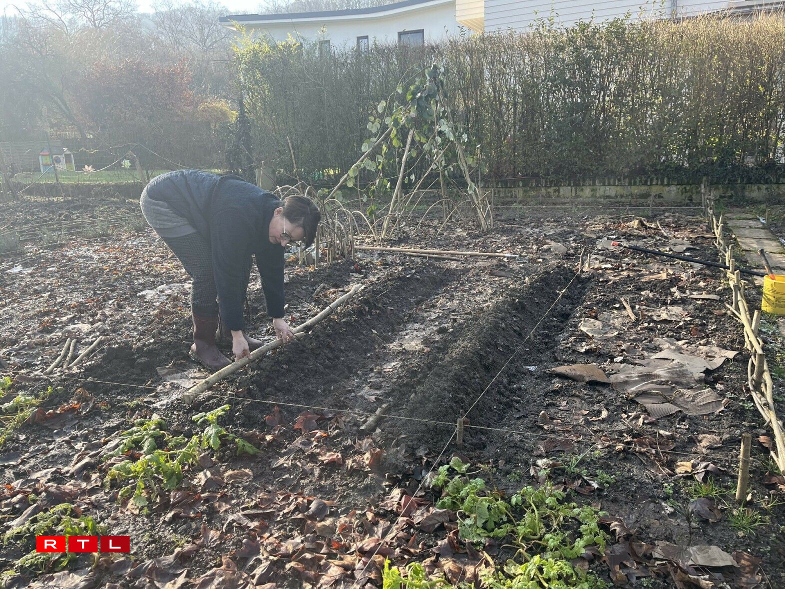 Raymonde comes to the garden daily, even when it rains.