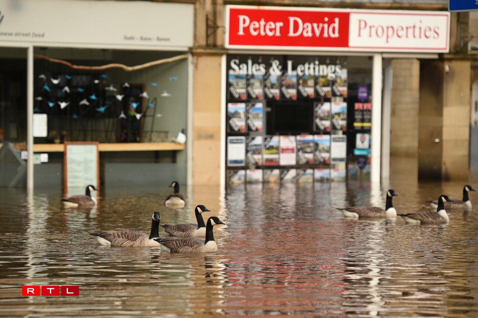 Geese take advantage of the conditions as floodwater fills the streets of Hebden Bridge, northern England, on February 9, 2020, as Storm Ciara swept over the country. Britain and Ireland hunkered down Sunday for a powerful storm expected to disrupt air, rail and sea links, cancel sports events, cut electrical power and damage property. With howling winds and driving rain, forecasters said Ciara would also hit France, Belgium, the Netherlands, Switzerland and Germany.