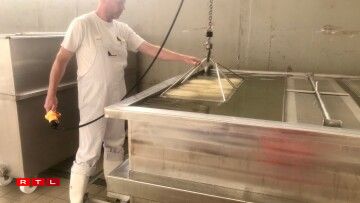 Le caillé est placé dans un bain de saumure pour quelques jours.