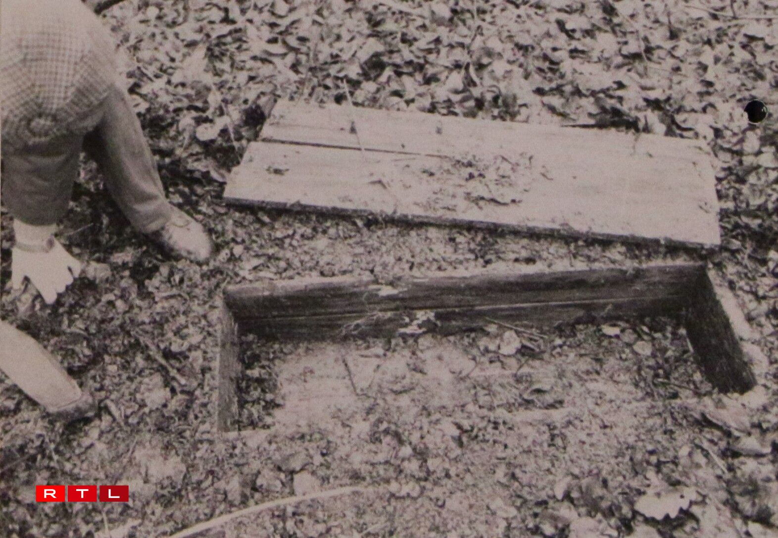 Guns found hidden in the forest.