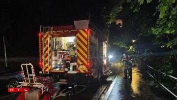 Des pompiers interviennent après une chute d'arbre à Luxembourg le 17 mai 2024