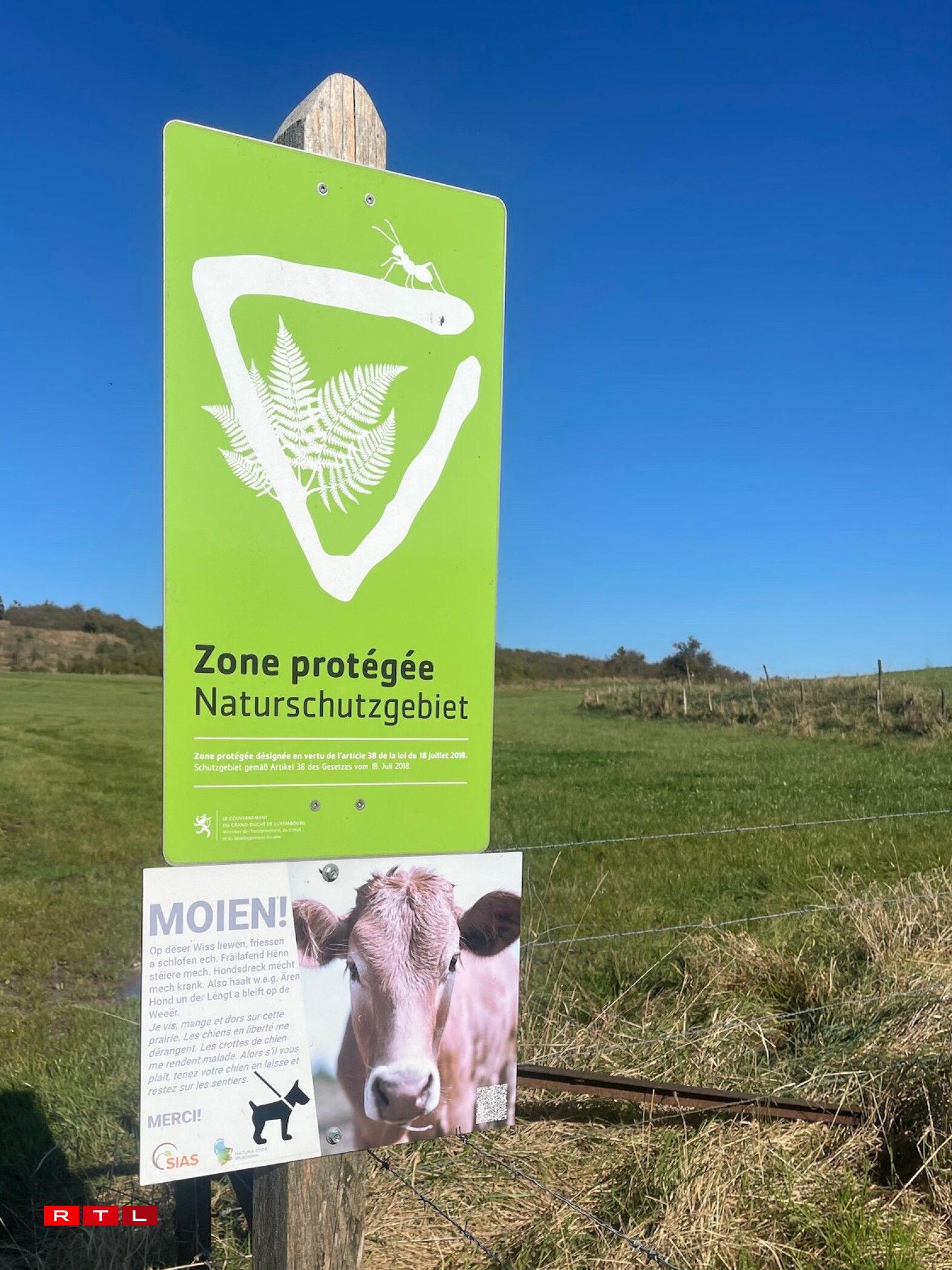 380.000 Volt Leitung géif en nationaalt Naturschutzgebitt impaktéieren.