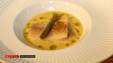 D'Entrée vum Roland Herrmann: Forelle