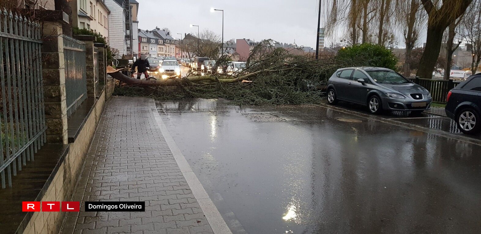 Zu Ettelbréck beim Gemengen-Atelier ass e Bam an d'Strooss gefall. Foto: Tony Monteiro