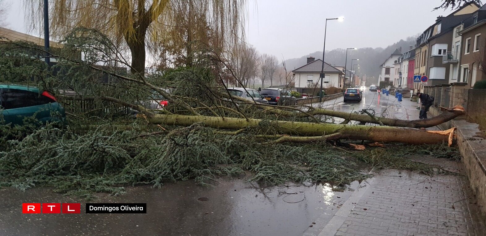 Zu Ettelbréck beim Gemengen-Atelier ass e Bam an d'Strooss gefall. Foto: Tony Monteiro